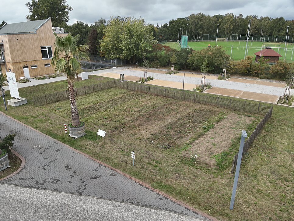 Abbildung: Ansaatflächen in Großbeeren DJI_20231010134938_0032_V