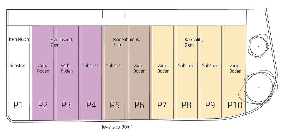 Abbildung: Verortung der Parzellen krautige Pflanzen (P) Grafik_Versuchsaufbau_Stauden_P