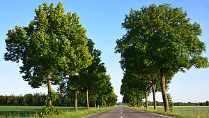 Image-948