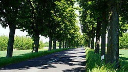 Image-808