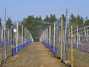 Image-1015