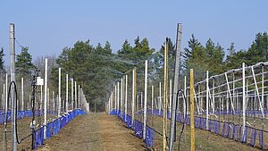 Image-1015